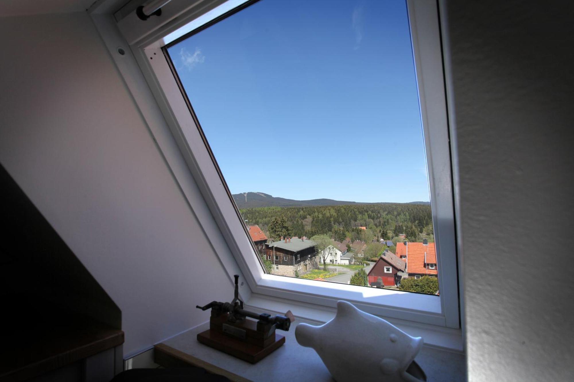 Villa Brockenhexe Braunlage Oda fotoğraf