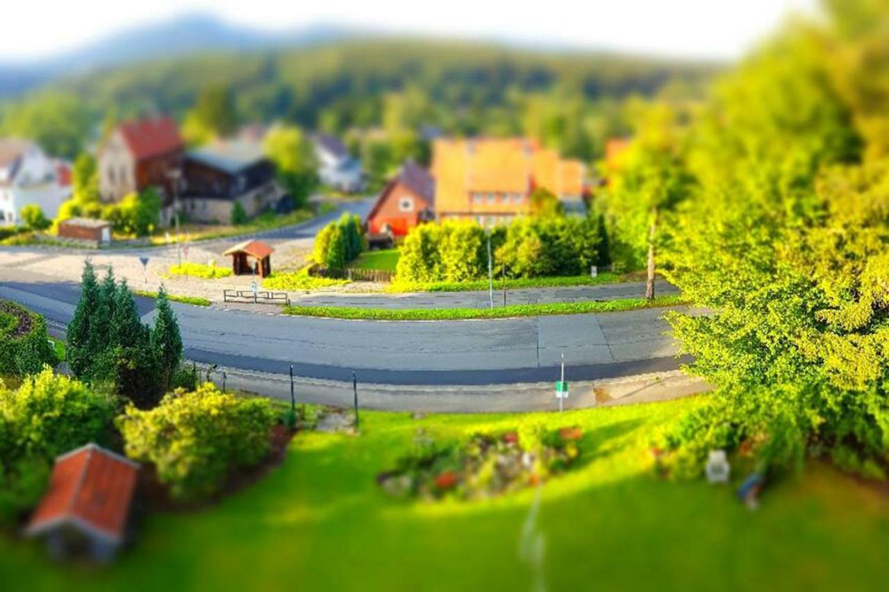 Villa Brockenhexe Braunlage Dış mekan fotoğraf